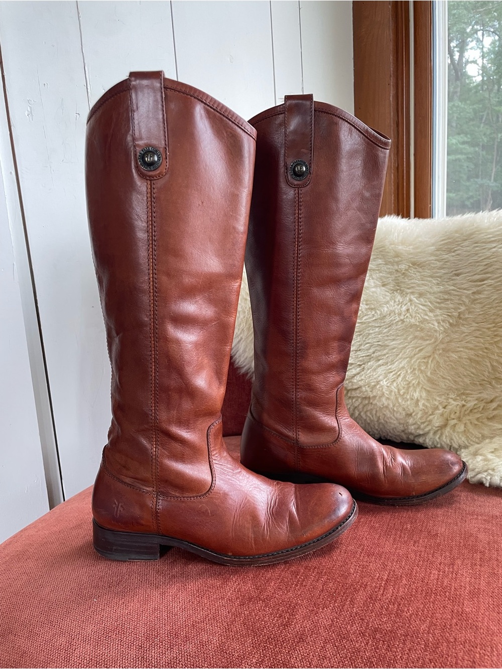 FRYE Tall Leather Riding Boots in Warm Cognac Brown WMN 6